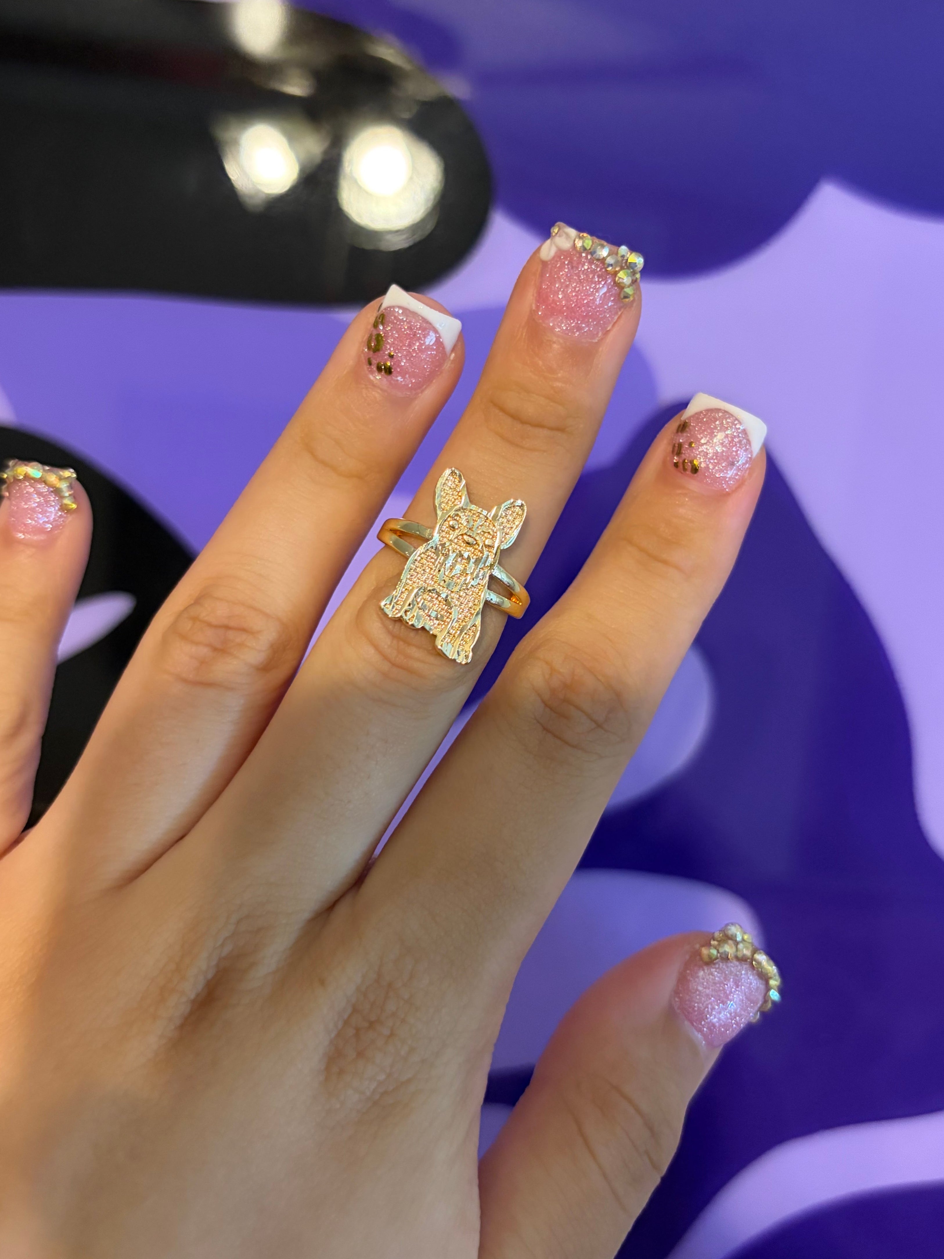 DOG RING
